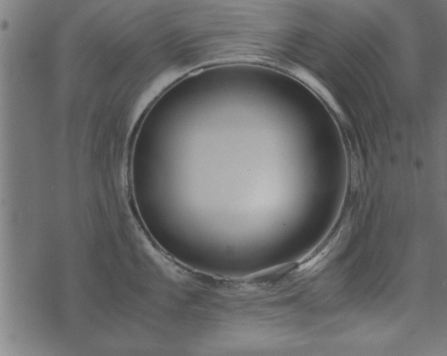 X0000073901101200608180952