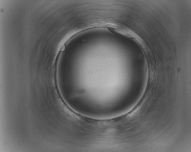 X0000073901102200608180952