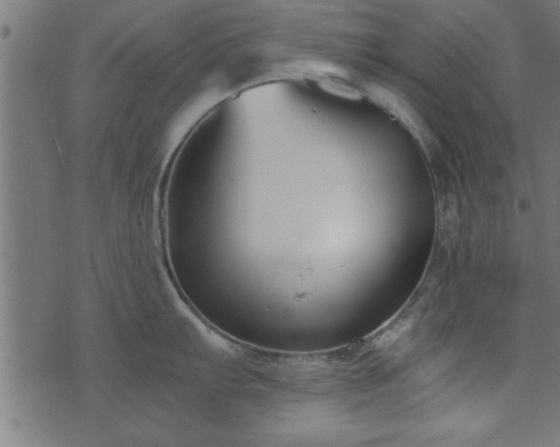 X0000073901103200608180952