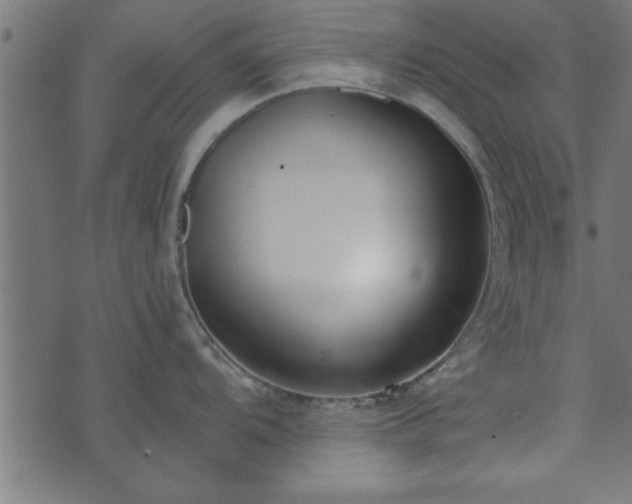 X0000073901104200608180952