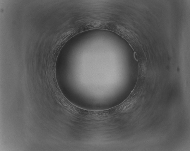 X0000073901105200608180951