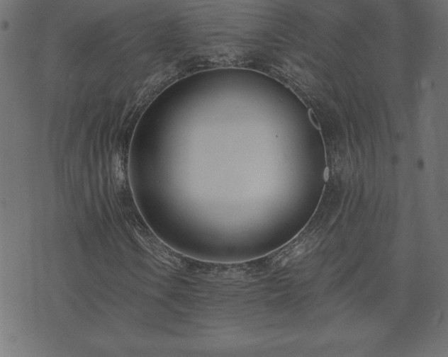 X0000073901106200608180952