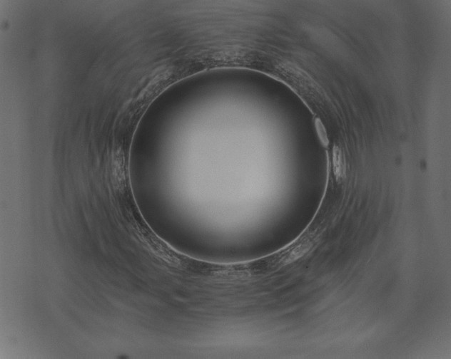 X0000073901107200608180952