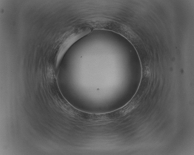 X0000073901108200608180952