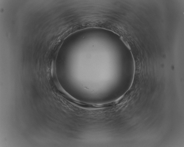 X0000073901109200608180952