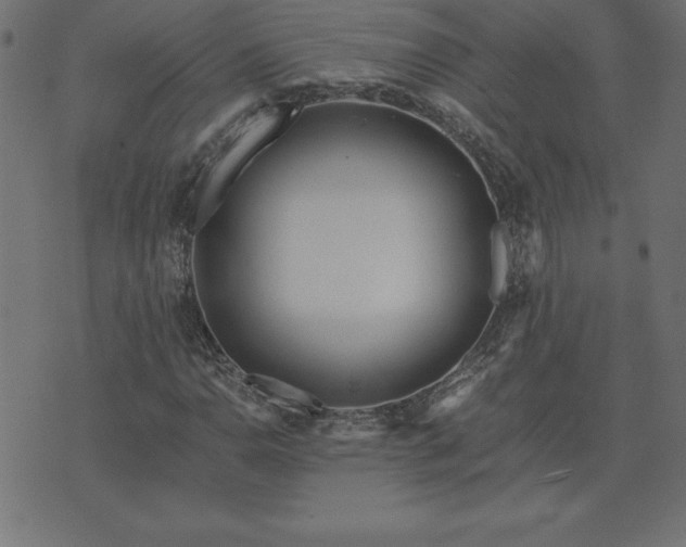 X0000073901110200608180952