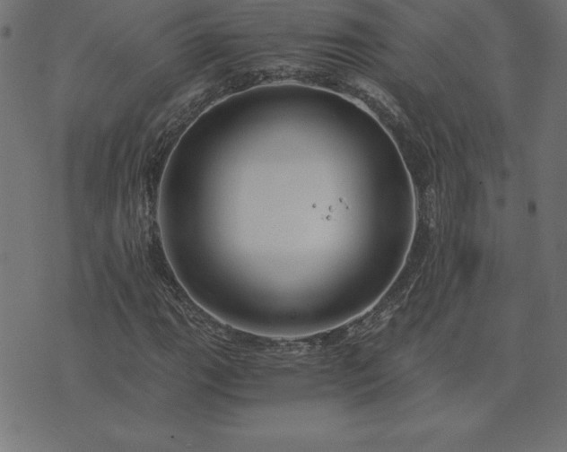 X0000073901111200608180952