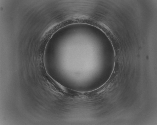 X0000073901112200608180952