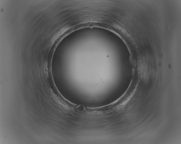 X0000073901113200608180952