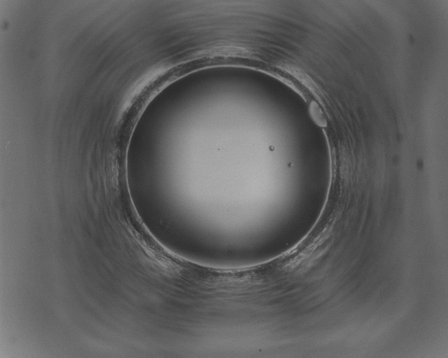 X0000073901115200608180952