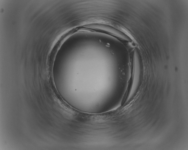 X0000073901116200608180952