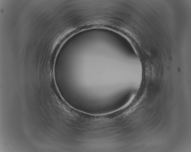 X0000073901117200608180952