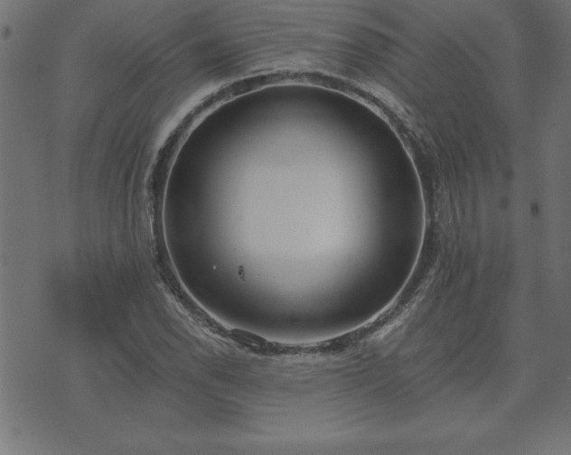 X0000073901118200608180952