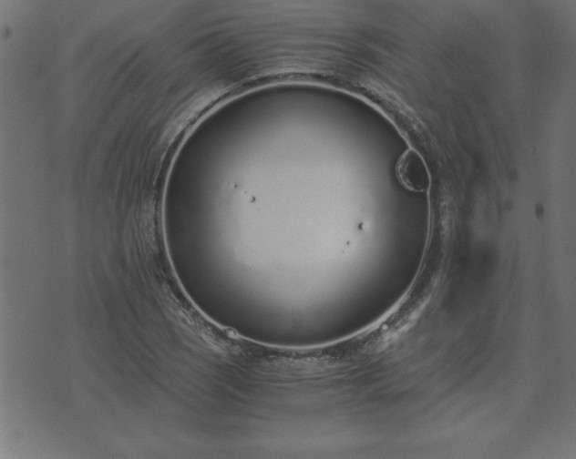 X0000073901121200608180952