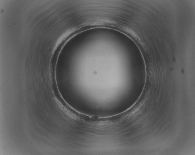 X0000073901122200608180952