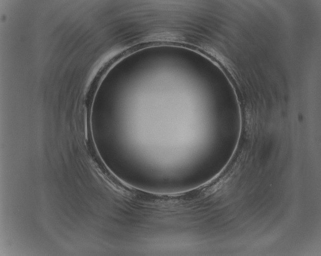 X0000073901123200608180952