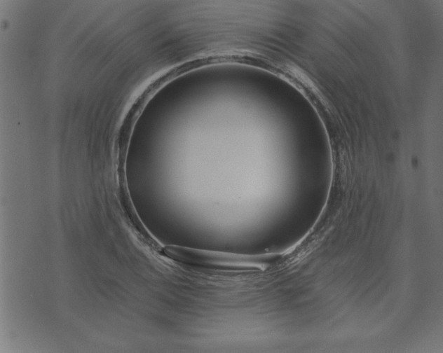 X0000073901124200608180952