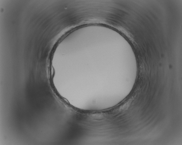 X0000073901126200608180952