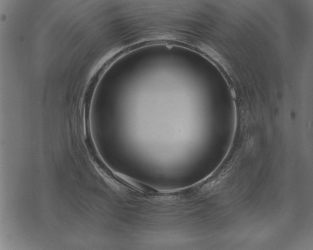 X0000073901127200608180952