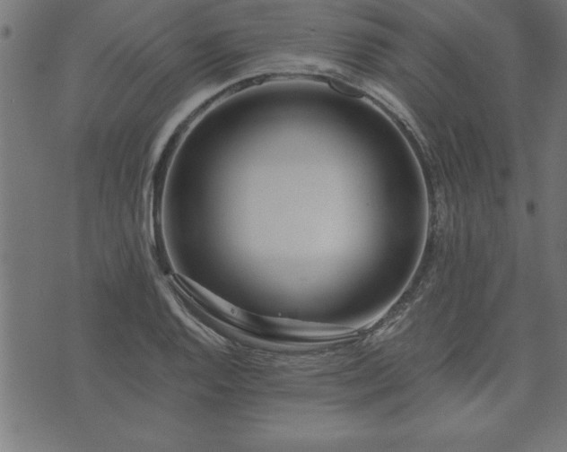 X0000073901128200608180952