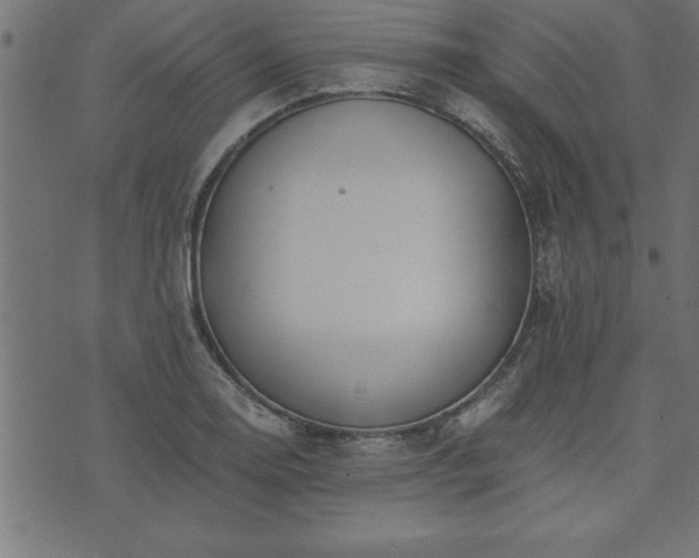 X0000073901130200608180952