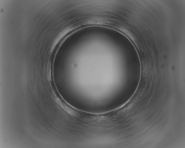 X0000073901131200608180952