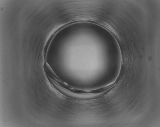 X0000073901132200608180952