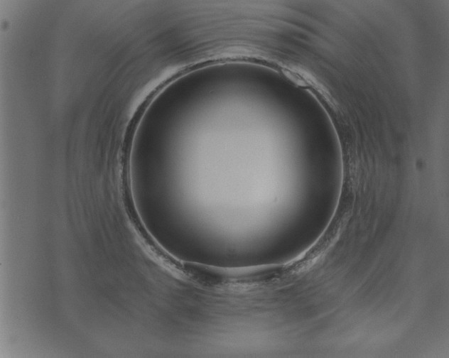 X0000073901134200608180952