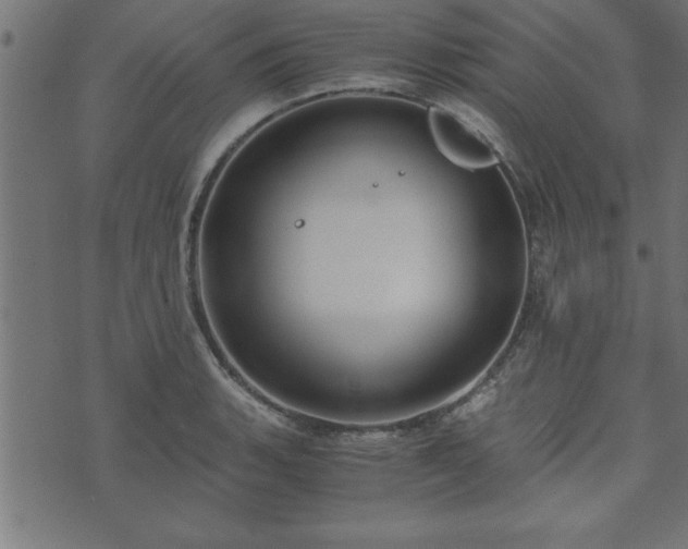 X0000073901135200608180952