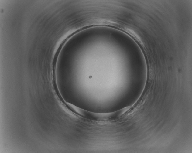 X0000073901136200608180952