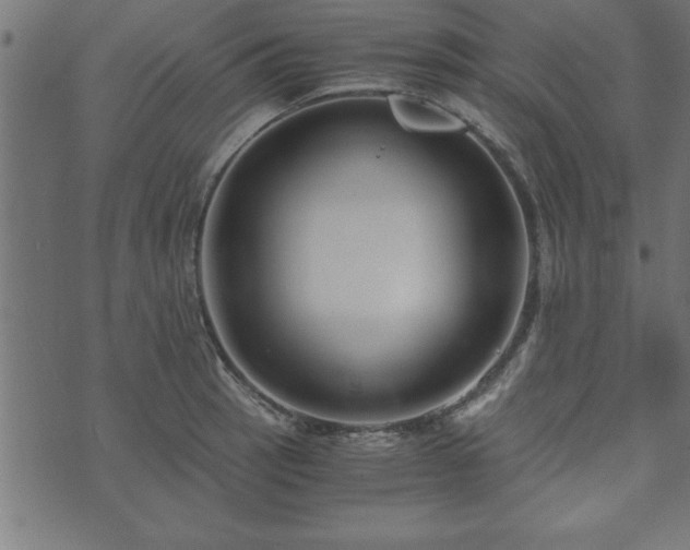 X0000073901137200608180952