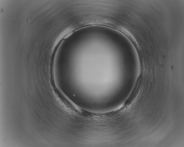 X0000073901138200608180952