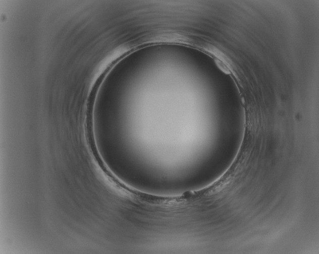 X0000073901139200608180952