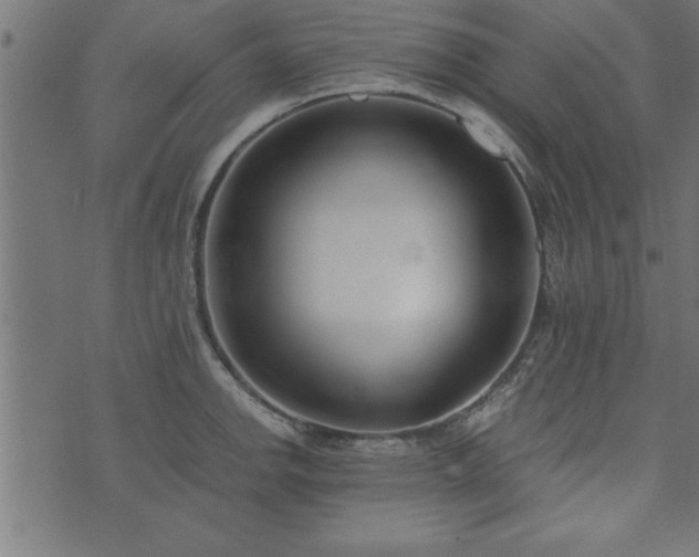 X0000073901142200608180952