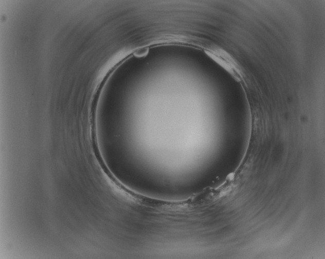 X0000073901143200608180952