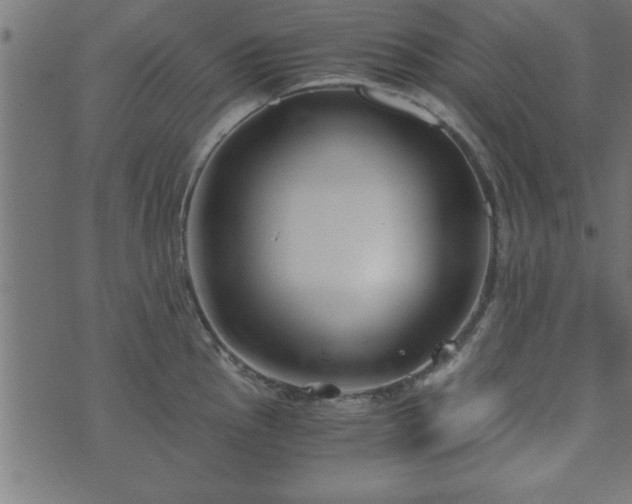 X0000073901145200608180952