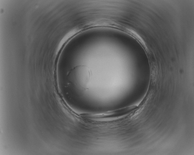 X0000073901146200608180952