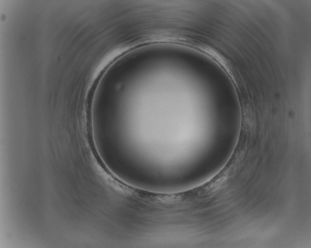 X0000073901147200608180952