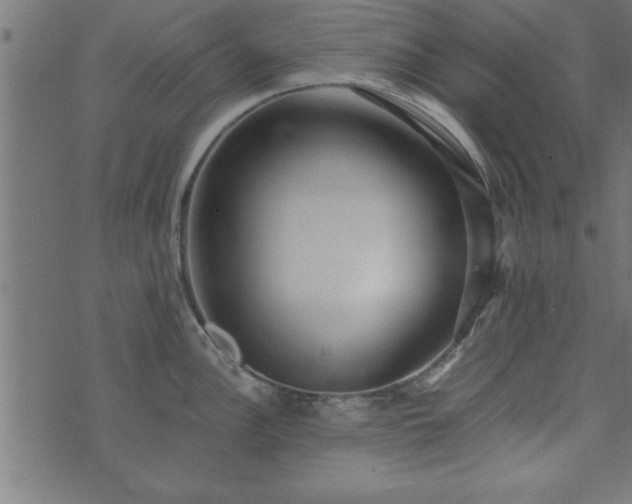 X0000073901148200608180952