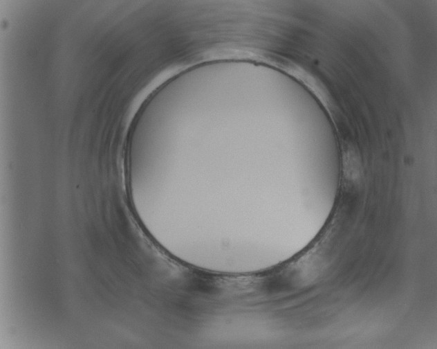 X0000073901150200608180952