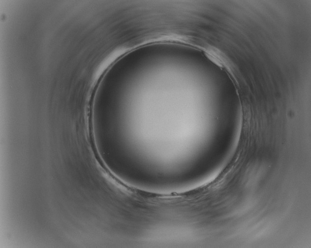 X0000073901151200608180952