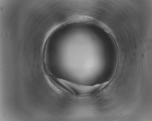 X0000073901152200608180952