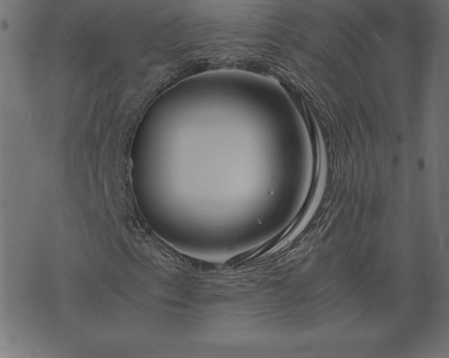 X0000073901153200608180951