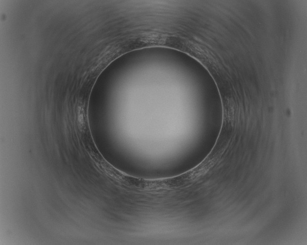 X0000073901154200608180951