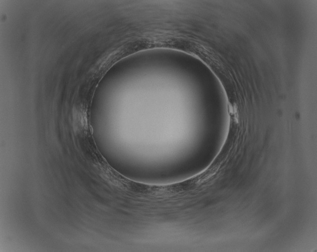 X0000073901155200608180951