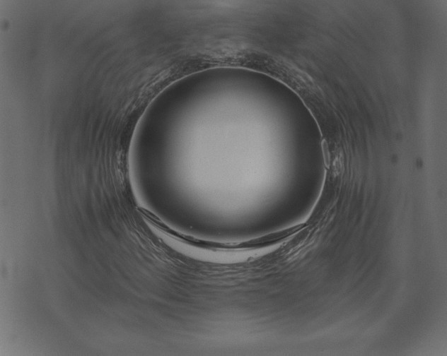 X0000073901156200608180951