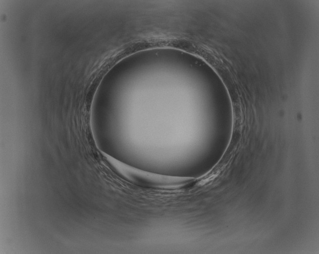 X0000073901157200608180951