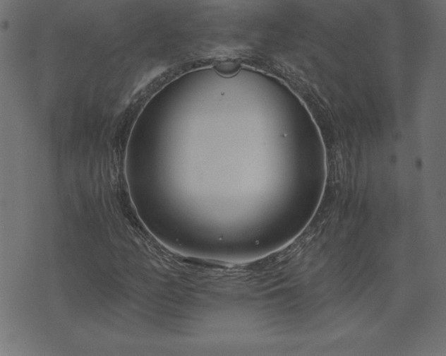 X0000073901158200608180951