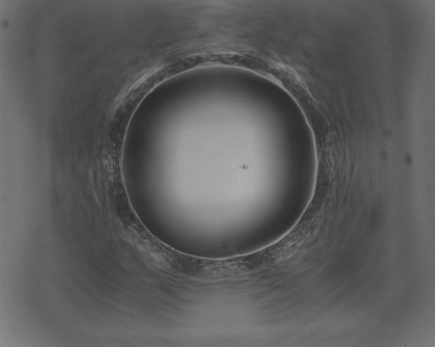 X0000073901159200608180951