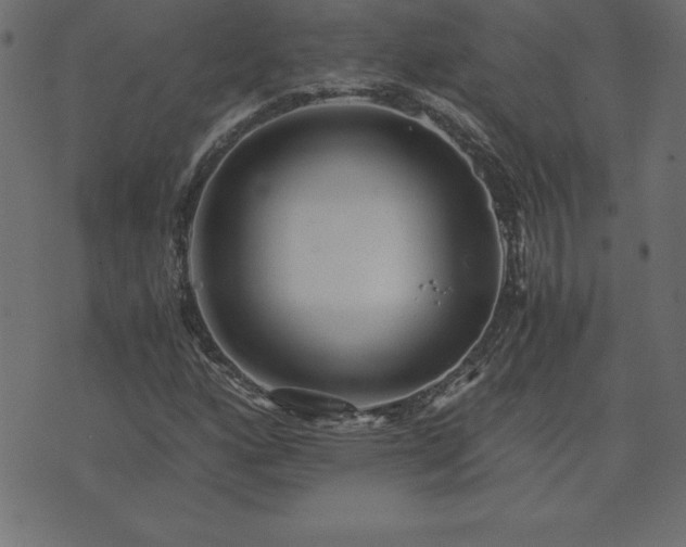 X0000073901160200608180951